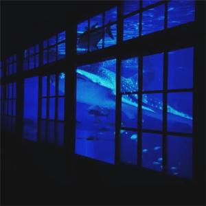 一本色道国产在线观看二区
