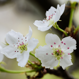 一本色道国产在线观看二区
